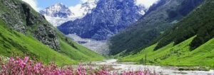 Valley of Flowers